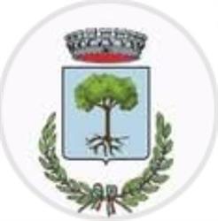 Comune Di Paolisi, orari di apertura