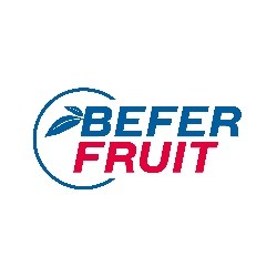 Befer Fruit, Bologna orari di apertura