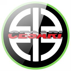 Cesari SRL, Bologna orari di apertura