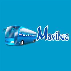 Mavibus, Bologna orari di apertura