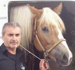 Horses & Fashion, Crevalcore orari di apertura