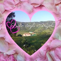 Azienda Agrituristica Prato Degli Angeli, Monterenzio orari di apertura