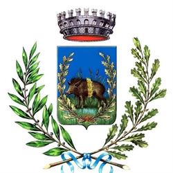 Comune Di Vergato Centralino, orari di apertura