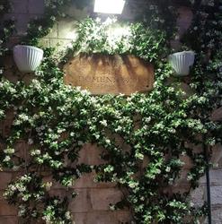 Taverna Dei Domenicani SRL Ristorante - Pizzeria, Ceglie Messapica orari di apertura