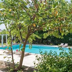 Dimora Celeste, Ostuni orari di apertura