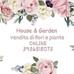 House & Garden SRL Piante e Fiori, Bagnolo Mella orari di apertura
