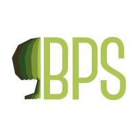 Bps SRL Sverniciatura Rinnovo Serramenti, Asola orari di apertura