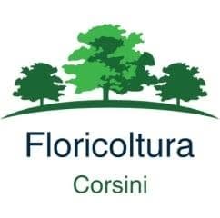 Floricoltura Corsini Societa' Agricola - S.S., Calcinato orari di apertura