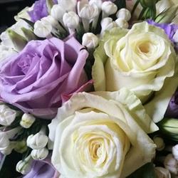 Fiori e Colori di Corsini Maria Rosa Calcinato, Calcinatello - Orari di apertura