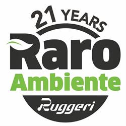 Raro Ambiente, Castegnato orari di apertura
