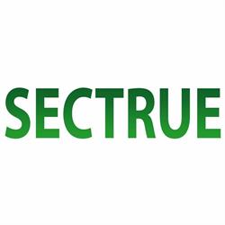 Sectrue Web & Assistance Di Nicolini Sergio, Castrezzato orari di apertura