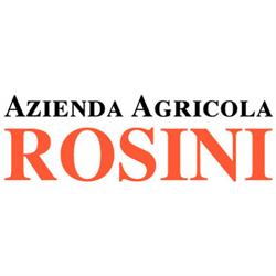 Azienda Agricola Rosini, Desenzano del Garda orari di apertura