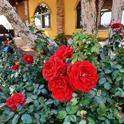 Agriturismo La Gasparina, Montichiari orari di apertura