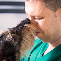 Ambulatorio Veterinario Di Moroni Massimo, Poncarale orari di apertura