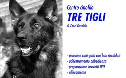 Centro Cinofilo Tre Tigli, Villanuova sul Clisi orari di apertura