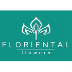 FLORIENTAL flowers, Andria orari di apertura