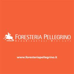 Bed & Breakfast Foresteria Pellegrino Gaia SRL, Andria orari di apertura