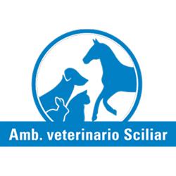 Ambulatorio Veterinario Schrott, Fiè allo Sciliar orari di apertura