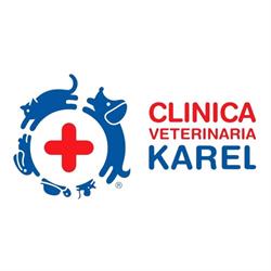Clinica Veterinaria Karel Acm3 SRL, Monserrato orari di apertura