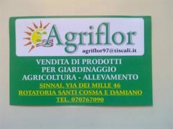 Agriflor Di Saddi & C. SNC, Sinnai orari di apertura