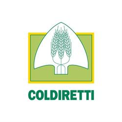 Federazione Provinciale Coldiretti, Campobasso orari di apertura