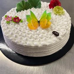 Pasticceria Zucchero & Vaniglia, Campobasso orari di apertura