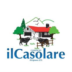 Caseificio Il Casolare, Alvignano orari di apertura