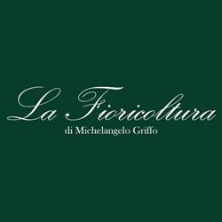 La Fioricoltura Griffo Michelangelo, Casal di Principe orari di apertura