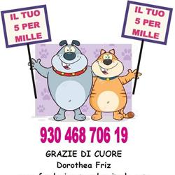 Lega Pro Animale, Castel Volturno orari di apertura
