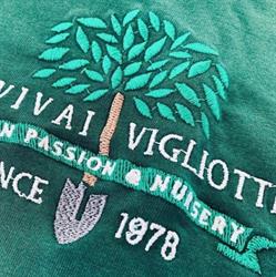 Vivai Vigliotti SRL Garden Center, Cervino orari di apertura