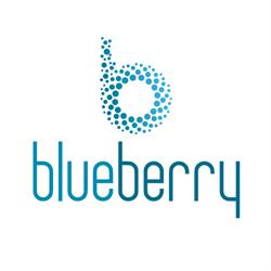 Blueberry S.r.l., Marcianise orari di apertura