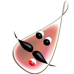 I Veri Sapori - Monsieur Gourmand, Sessa Aurunca orari di apertura