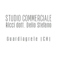 Studio Commerciale Ricci Dr. Delio Stefano, Guardiagrele orari di apertura