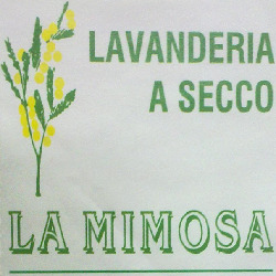 Lavanderia La Mimosa Igiene, Ripa Teatina orari di apertura