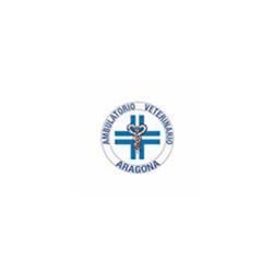 Ambulatorio Veterinario Aragona, Vasto orari di apertura