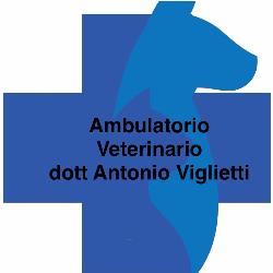Ambulatorio Veterinario Dott. Antonio Viglietti, Carloforte orari di apertura