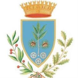 Comune Di Castagnito, orari di apertura
