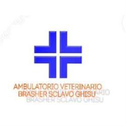 Ambulatorio Veterinario Dr. Brasher - Dr. Sclavo - Dr. Ghisu, Cuneo orari di apertura