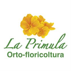 Azienda Agricola La Primula Di Prodani Michele Produzione Piante Da Orto-Fiore-Giardino, Sesto al Reghena orari di apertura