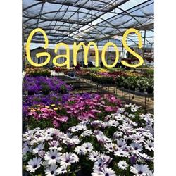 Gamos Zootecnica, Carpignano Sesia orari di apertura