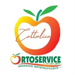 Ortoservice S.r.l., Cattolica orari di apertura