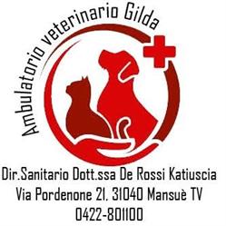 Ambulatorio Veterinario Gilda di Dott.Ssa de Rossi Katiuscia Medico Veterinario, Mansuè orari di apertura
