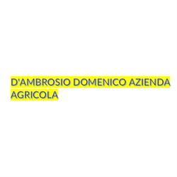 D'Ambrosio Domenico Azienda Agricola, Castellalto orari di apertura