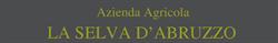 Oleificio La Selva D'Abruzzo Di Di Massimo G. & Figli Snc Azienda Agricola, Moscufo orari di apertura