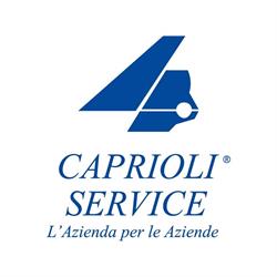 Ciesse Di Caprioli Savino e C. SNC, Lavello orari di apertura