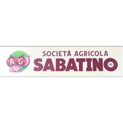 Società Agricola Sabatino Cipolla Rossa di Tropea Igp, Amantea orari di apertura