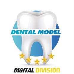 Dental Model Di Sirianni Evio E Manfroni Francesco E Aiello R.M. Sdf, Catanzaro orari di apertura