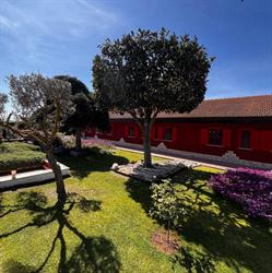 Hotel Selvaggia S.r.l., Ardea orari di apertura