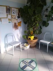 Studio Associato Ambulatorio Veterinario Il Ghirlandaio Dott.Ssa Sabr, Calenzano orari di apertura