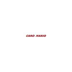 Mario Caro, Ariano Irpino orari di apertura